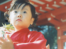 七五三 女の子