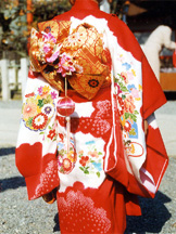 七五三 結び帯